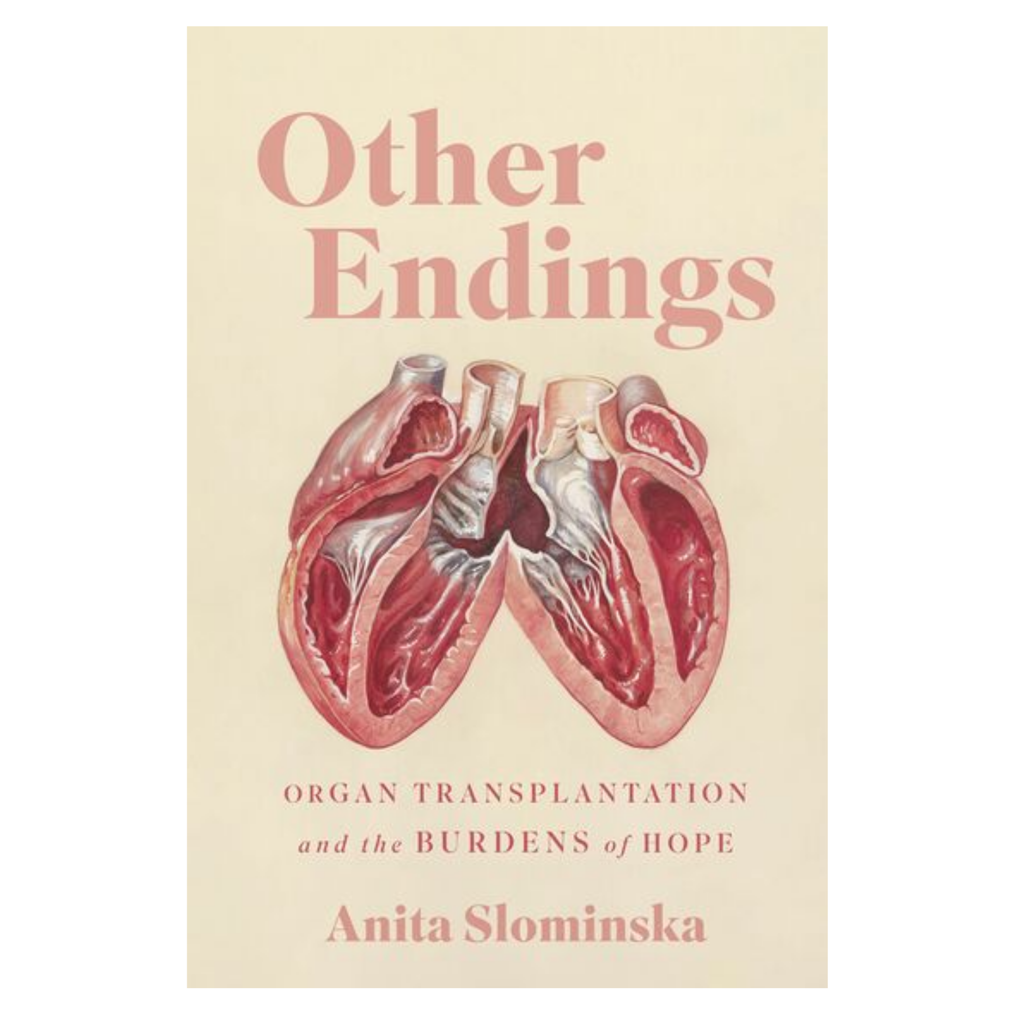 Other Endings