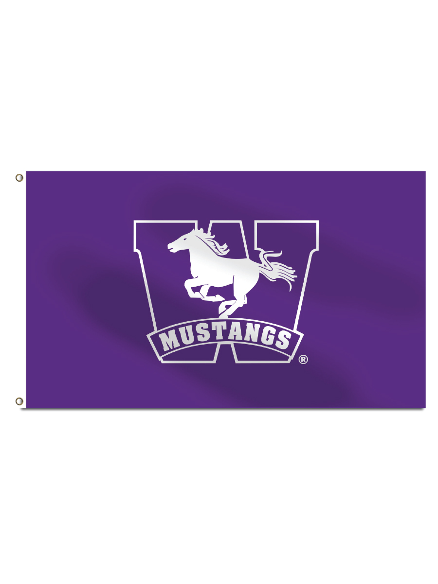 mustang_flag.jpg