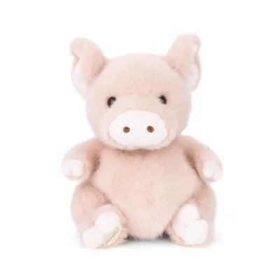Baby Oink the Pig