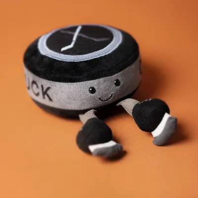 Ice Hockey Puck