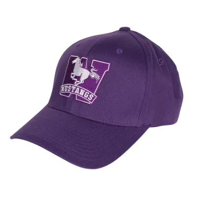 Purple flex fit cap. Mustangs logo embroidered on the front in purple and white.