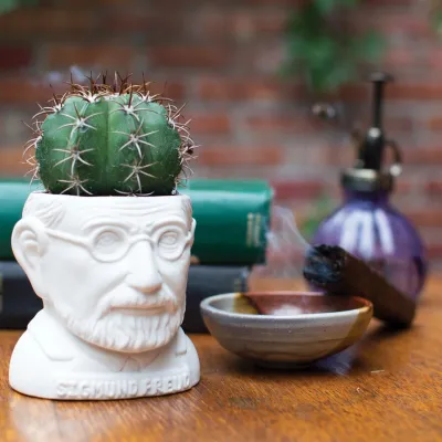 sigmund_freud_planter_lifestyle_05412.jpg