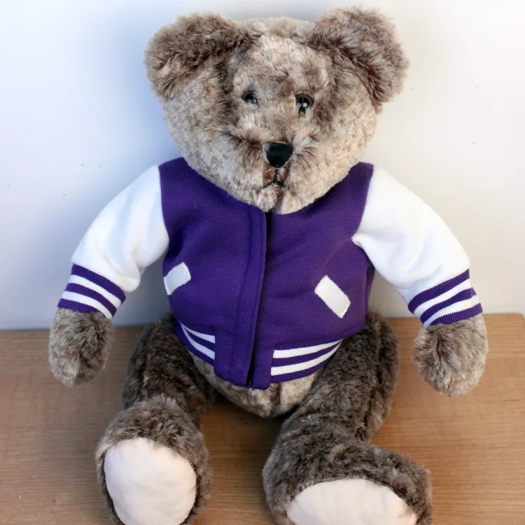 Brown teddy bear with a purple and white letterman jacket.