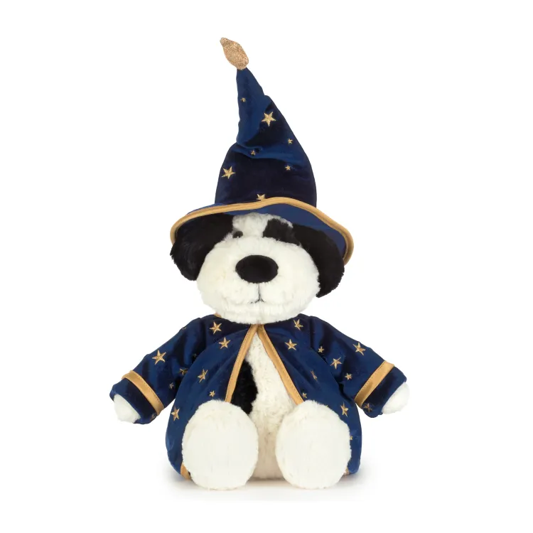 Rufferty  Puppy Wizard Outfit