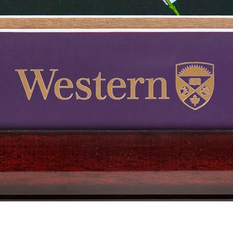 88000090691crest.jpg