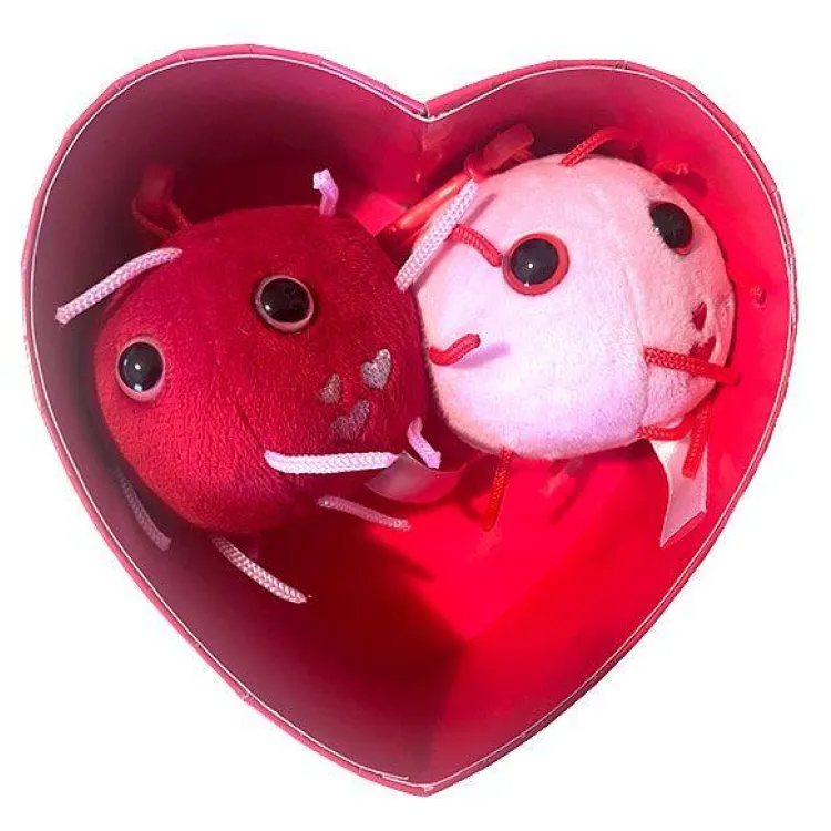 covid_love_box_1.jpeg
